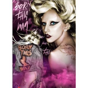 Lady Gaga 3D Plakát, 3D Obraz, (47 x 67 cm)