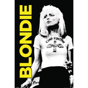 Plakát, Obraz - Blondie - Camp Funtime, (61 x 91,5 cm)