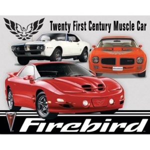 Plechová cedule Pontiac Firebird Tribute, (40 x 31,5 cm)