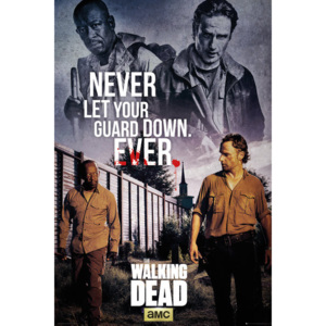 Plakát, Obraz - The Walking Dead - Rick and Morgan, (61 x 91,5 cm)
