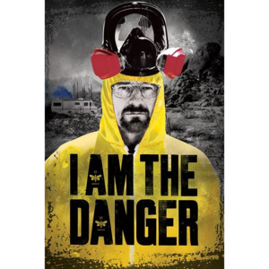 Plakát, Obraz - BREAKING BAD - i am the danger, (61 x 91,5 cm)