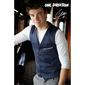 Plakát, Obraz - One Direction - liam portrait, (61 x 91,5 cm)
