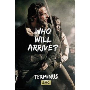 Posters Plakát, Obraz - The Walking Dead - Rick and Michonne Survive, (61 x 91,5 cm)