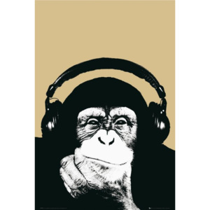 Plakát, Obraz - Steez - monkey, (61 x 91,5 cm)