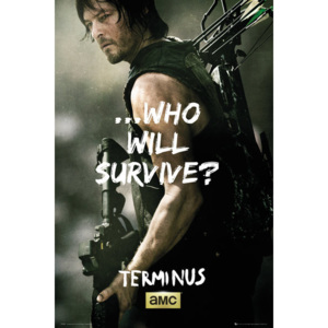 Plakát, Obraz - The Walking Dead - Daryl Survive, (61 x 91,5 cm)