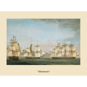 Obraz, Reprodukce - Loď Shannon, Navi, (80 x 60 cm)
