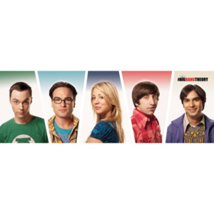 Plakát, Obraz - The Big Bang Theory (Teorie velkého třesku) - Cast, (91,5 x 30 cm)