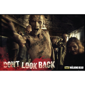 Plakát, Obraz - The Walking Dead - Zombies, (91,5 x 61 cm)