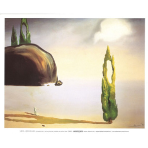 Obraz, Reprodukce - Ozvěna prázdnoty, 1935, Salvador Dalí, (30 x 24 cm)