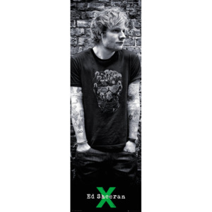 Plakát, Obraz - Ed Sheeran - Skull, (53 x 158 cm)