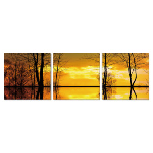 Obraz Siluety stromů - klidná hladina, (210 x 70 cm)