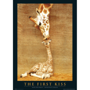 Plakát, Obraz - The first kiss - žirafy, (61 x 91,5 cm)