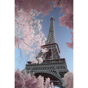 Plakát, Obraz - Paříž - Eiffel Tower, David Clapp, (61 x 91,5 cm)