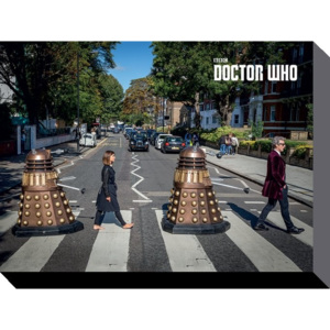 Obraz na plátně Doctor Who - Abbey Road, (80 x 60 cm)