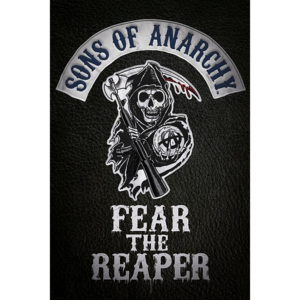 Plakát, Obraz - Sons of Anarchy (Zákon gangu) - Fear the reaper, (61 x 91,5 cm)