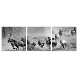Obraz na zeď - Koně - Běžící stádo koní, (120 x 40 cm)