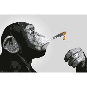 Plakát, Obraz - Steez - Opice Smoking, (91,5 x 61 cm)
