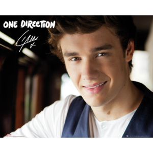 Plakát, Obraz - One Direction - liam, (50 x 40 cm)
