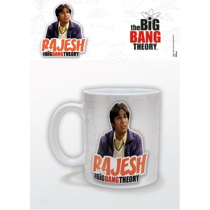 Hrnek The Big Bang Theory (Teorie velkého třesku) - Rajesh