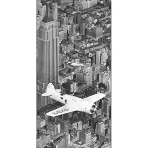 Obraz, Reprodukce - Hawks airplane in flight over New York city, 1938, (100 x 50 cm)