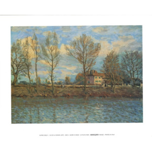 Posters Reprodukce Sisley - l'Île de la Grande Jatte, (30 x 24 cm)