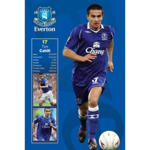Plakát, Obraz - Everton - tim cahill, (61 x 91,5 cm)