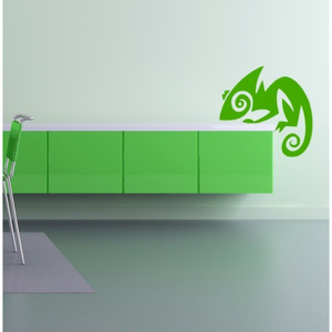 Chameleon (50 x 50 cm) - Samolepka na zeď