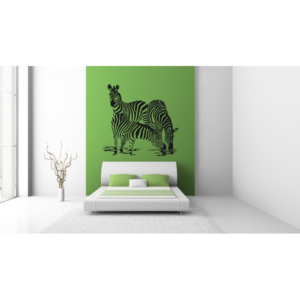 Pasoucí se zebry (63 x 60 cm) - Samolepka na stěnu