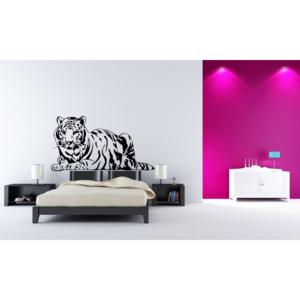 Ležící tygr (98 x 52 cm) - Samolepka na zeď