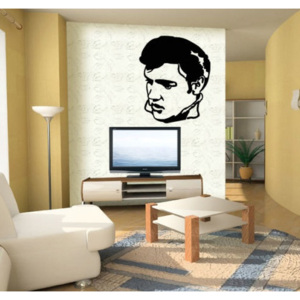 Elvis Presley (74 x 60 cm) - Samolepka na zeď