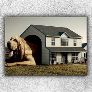 Pes v psí boudě 1 (70 x 50 cm) - Jednodílný obraz