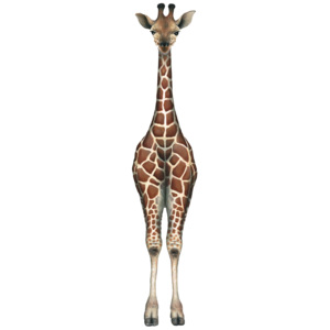 Samolepící dekorace Žirafa
