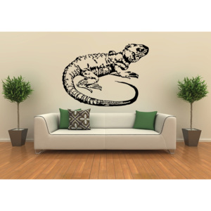 Agama (60 x 44 cm) - Samolepka na zeď