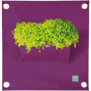 The Green Pockets Kapsář na květiny AMMA 50x45 cm, fialová