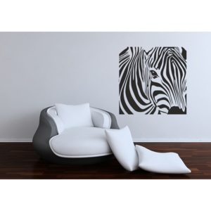 Zebra ve čtverci (60 x 60 cm) - Dekorace na zeď