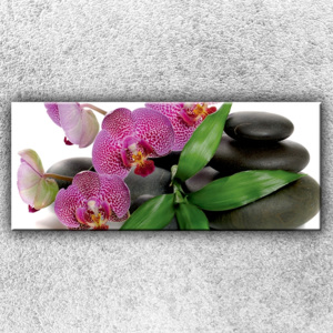 Květy orchidejí 1 (120 x 50 cm) - Jednodílný obraz