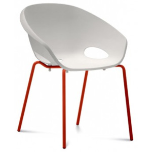 Globe - Jídelní židle (lak červený, bílá)