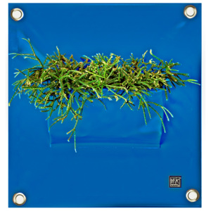 The Green Pockets Kapsář na květiny PEVA 50x45 cm, modrá