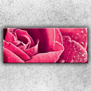 Růžová růže 2 (120 x 50 cm) - Jednodílný obraz
