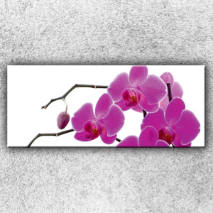 Růžové kvítky (120 x 50 cm) - Jednodílný obraz