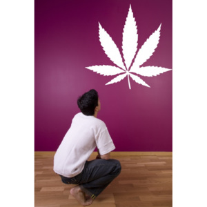 List marihuany (50 x 48 cm) - Samolepka na stěnu