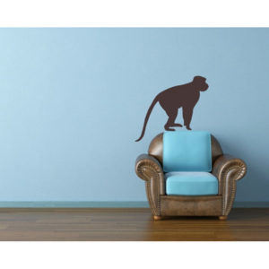 Opice (75 x 42 cm) - Samolepka na stěnu