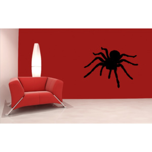 Tarantule (70 x 50 cm) - Samolepka na stěnu