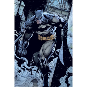 Plakát, Obraz - Batman - Prowl, (61 x 91,5 cm)