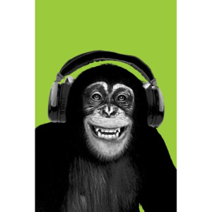 Plakát, Obraz - Chimpanzee headphones, (61 x 91,5 cm)