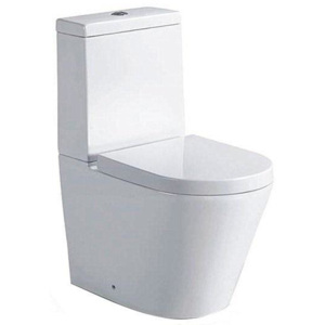 WC kombi mísa s nádržkou PACO Sapho se SoftClose sedátkem, spodní/zadní odpad, bílá / PC1012