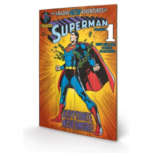 Dřevěný obraz DC COMICS - superman / krypt., (40 x 59 cm)