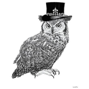 Obrázek Wise owl 20x25 cm