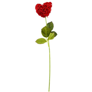 FLORISTA Růže ve tvaru srdce