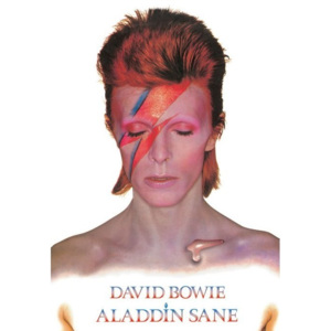 Plakát, Obraz - David Bowie - Aladdin Sane, (61 x 91,5 cm)